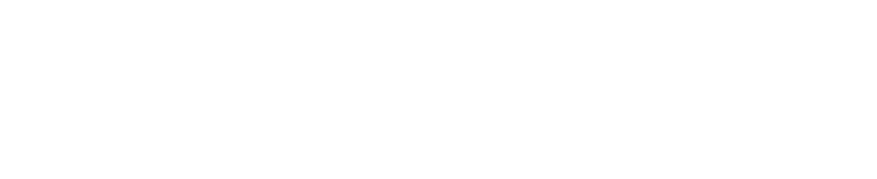 Logo BLACKDUNE